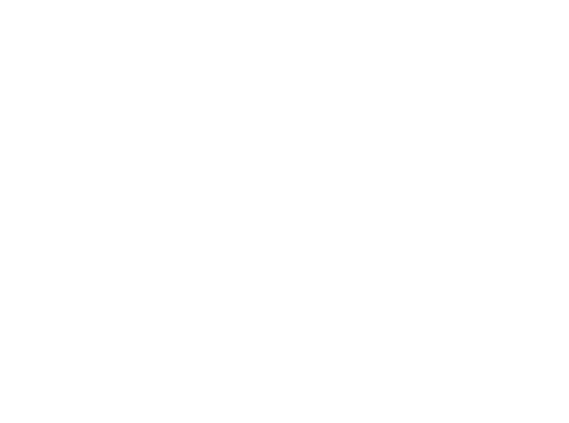 Ariana Television Network (ATN)