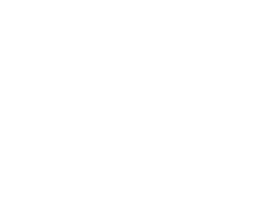 Ariana Television Network (ATN)
